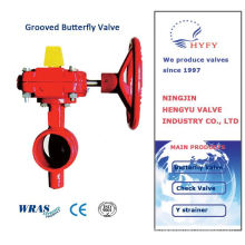 New Mini practical hot in china single flange butterfly valve pn10/16